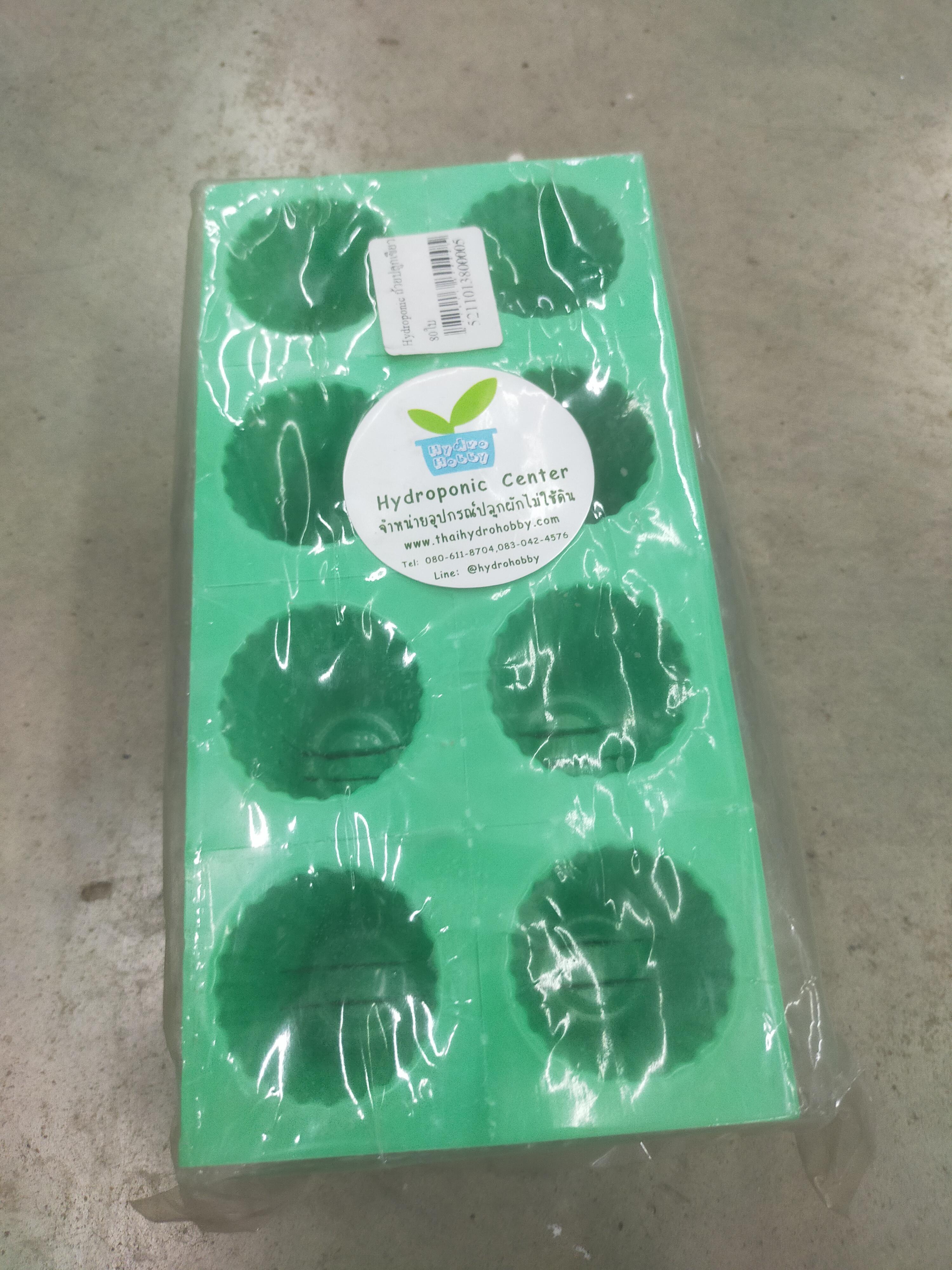 Hydroponic ถ้วยปลูกเขียว 80ใบ Hydroponic ถ้วยปลูกเขียว 80ใบ - ดำรงค์โฮมพลัส