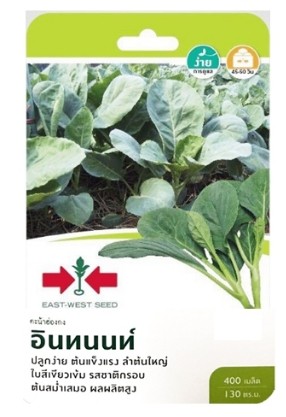 ศรแดง GG คะน้าฮ่องกง อินทนนท์ (400S TH) ศรแดง GG คะน้าฮ่องกง อินทนนท์ (400S TH) - ดำรงค์โฮมพลัส