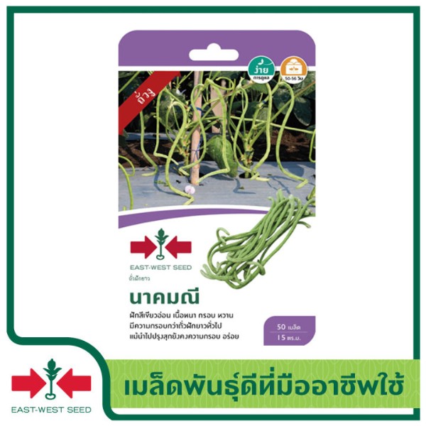 ศรแดง GG ถั่วฝักกยาวนาคมณี (50S TH) ศรแดง GG ถั่วฝักกยาวนาคมณี (50S TH) - ดำรงค์โฮมพลัส