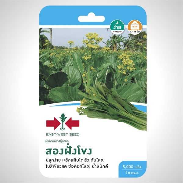 ศรแดง GG ผักกาดกวางตุ้งดอกสองฝั่งโขง (5TS TH) ศรแดง GG ผักกาดกวางตุ้งดอกสองฝั่งโขง (5TS TH) - ดำรงค์โฮมพลัส