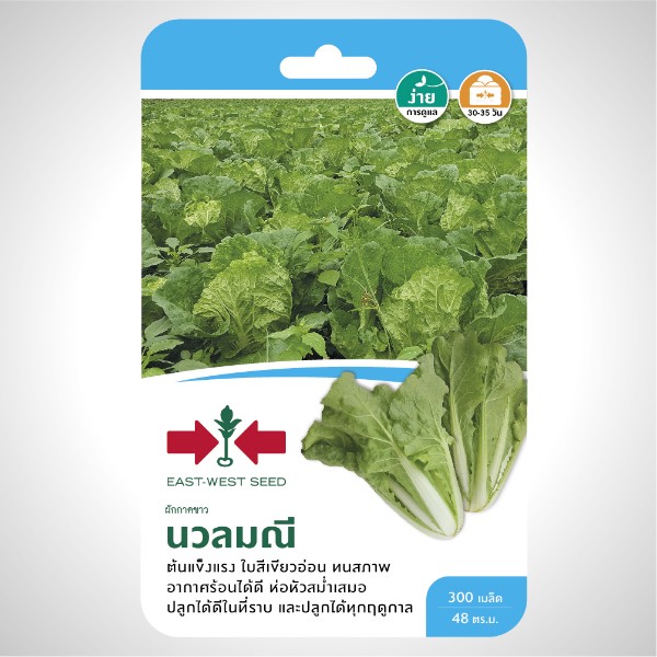 ศรแดง GG ผัดกาดขาว นวลมณี (300S TH) ศรแดง GG ผัดกาดขาว นวลมณี (300S TH) - ดำรงค์โฮมพลัส
