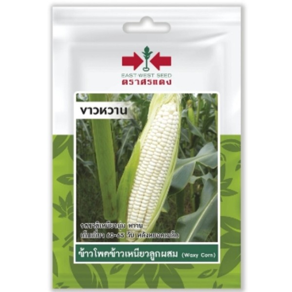 ศรแดง SV ข้าวโพดข้าวเหนียวF1 ขาวหวาน (เม็ดเคลือบ) (VP38 20S TH) ศรแดง SV ข้าวโพดข้าวเหนียวF1 ขาวหวาน (เม็ดเคลือบ) (VP38 20S TH) - ดำรงค์โฮมพลัส