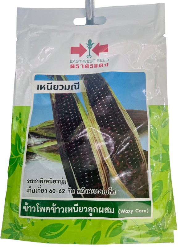 ศรแดง SV ข้าวโพดข้าวเหนียวลูกผสมเหนียวมณี (เมล็ดเคลือบ) (VP42 20S TH) ศรแดง SV ข้าวโพดข้าวเหนียวลูกผสมเหนียวมณี (เมล็ดเคลือบ) (VP42 20S TH) - ดำรงค์โฮมพลัส