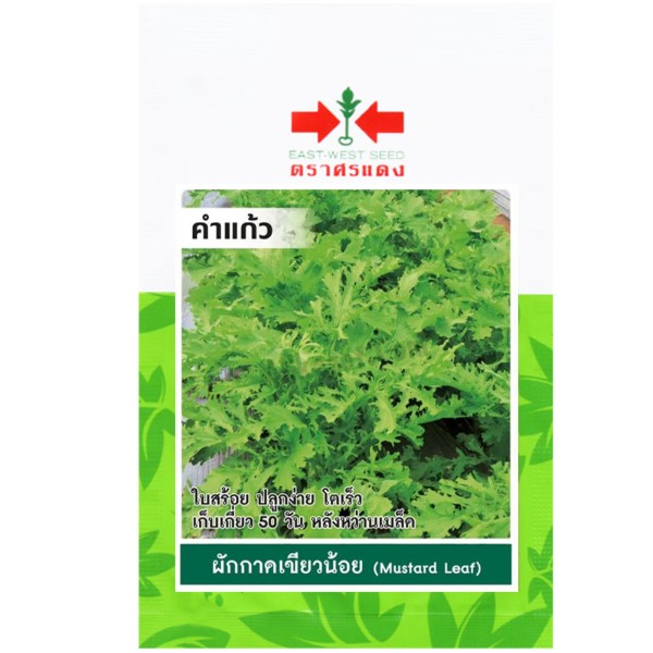 ศรแดง SV ผักกาดเขียวน้อยคำแก้ว (VP5 290S TH) ศรแดง SV ผักกาดเขียวน้อยคำแก้ว (VP5 290S TH) - ดำรงค์โฮมพลัส