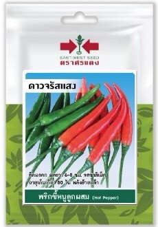 ศรแดง SV พริกขี้หนูลูกผสม ดาวจรัสแสง (VP52 40S TH) ศรแดง SV พริกขี้หนูลูกผสม ดาวจรัสแสง (VP52 40S TH) - ดำรงค์โฮมพลัส
