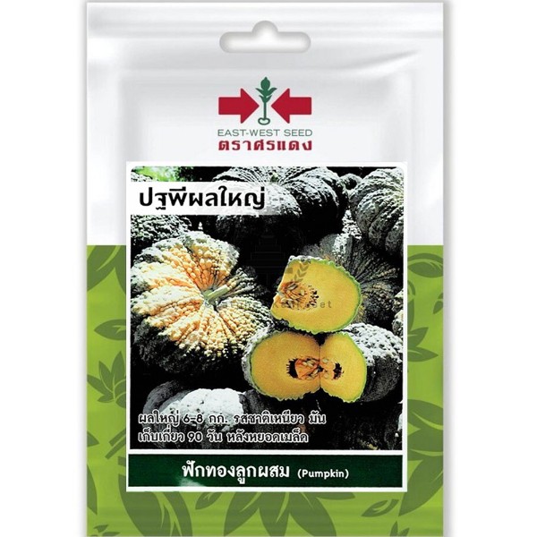 ศรแดง SV ฟักทองลูกผสม ปฐพี (VP18 10S TH) ศรแดง SV ฟักทองลูกผสม ปฐพี (VP18 10S TH) - ดำรงค์โฮมพลัส