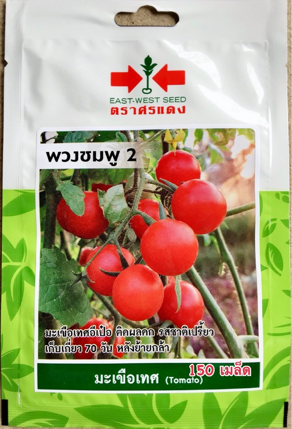 ศรแดง SV มะเขือเทศอีเป่อ พวงชมพู2 (VP54 150S TH) ศรแดง SV มะเขือเทศอีเป่อ พวงชมพู2 (VP54 150S TH) - ดำรงค์โฮมพลัส