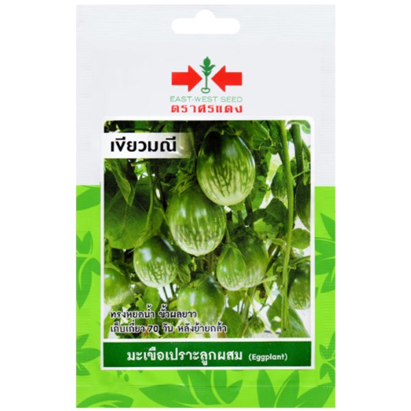 ศรแดง SV มะเขือเปราะคางกบลูกผสม เขียวมณี (VP61 50S TH) ศรแดง SV มะเขือเปราะคางกบลูกผสม เขียวมณี (VP61 50S TH) - ดำรงค์โฮมพลัส