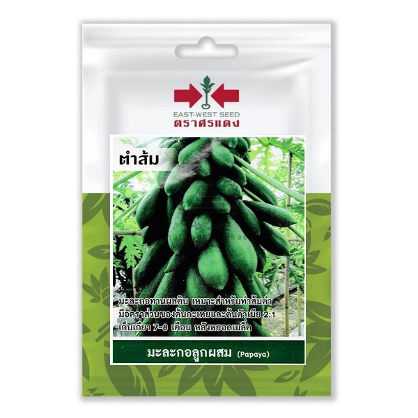 ศรแดง SV มะละกอ F1ตำส้ม (VP48 4S TH) ศรแดง SV มะละกอ F1ตำส้ม (VP48 4S TH) - ดำรงค์โฮมพลัส