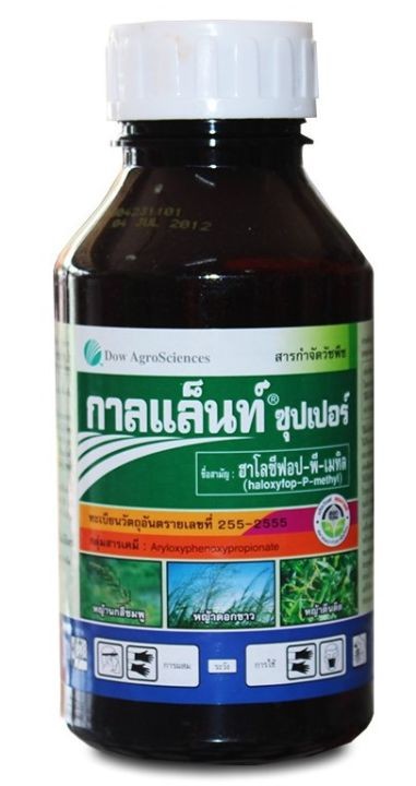 กาลแลนท์ซุปเปอร์ 100ซี.ซี. ดาวน์อะโกร