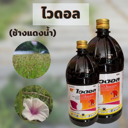 ไวดอล ช้างแดง 1000 ซี.ซี.