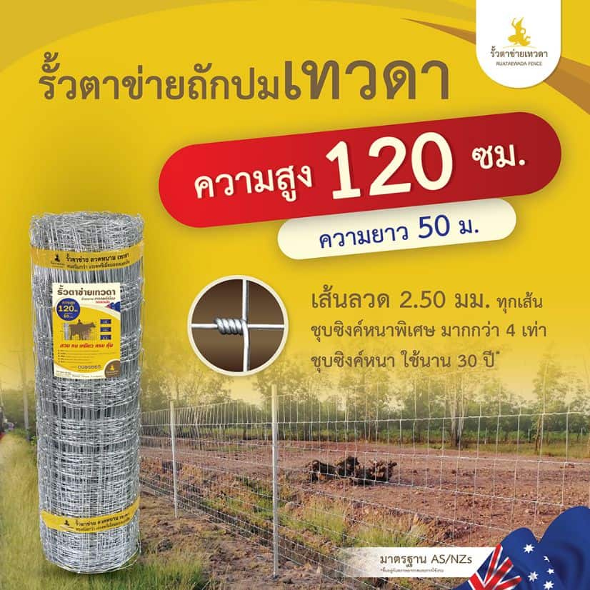 ตาข่ายถักปมเทวดารุ่น 10-120-15 ยาว 50เมตร