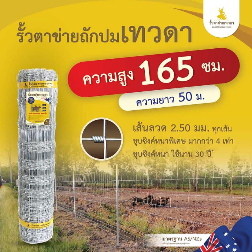 ตาข่ายถักปมเทวดารุ่น 12-165-15 ยาว 50เมตร